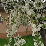 Appartement Limonade Ac Agard Elmenyfuerdo Mellett Gárdony