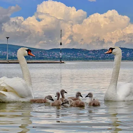 Limonade Ac Agard Elmenyfuerdo Mellett * Gárdony