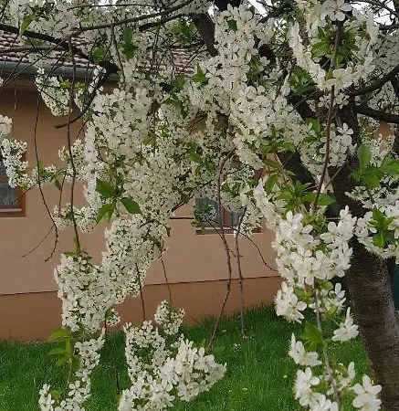 Apartment Limonade Ac Agard Elmenyfuerdo Mellett Gardony