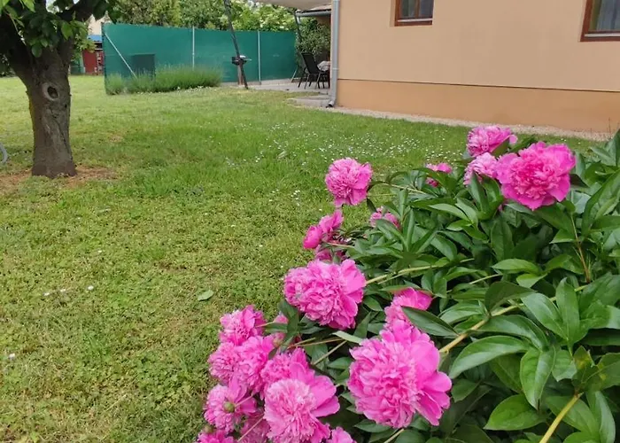 Apartment Limonade Ac Agard Elmenyfuerdo Mellett *